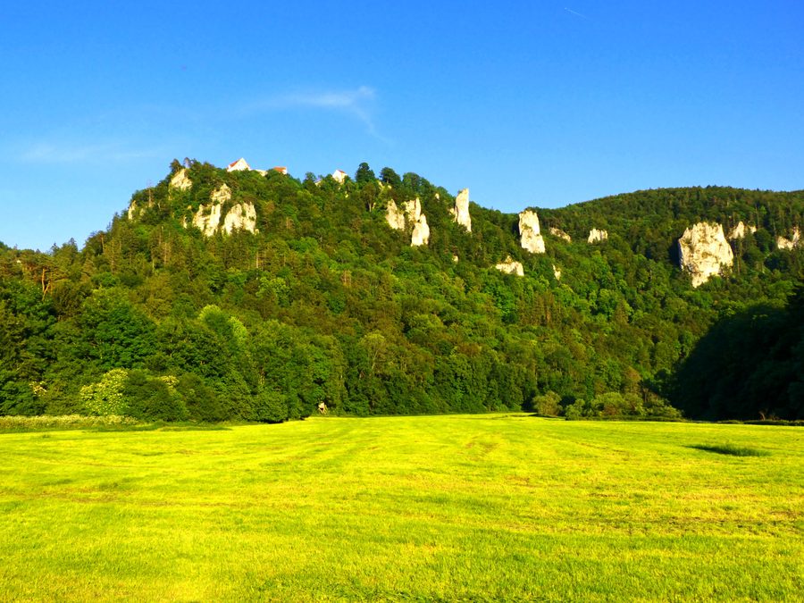 Landschaft des Oberen Donautals mit bewaldeten Hängen