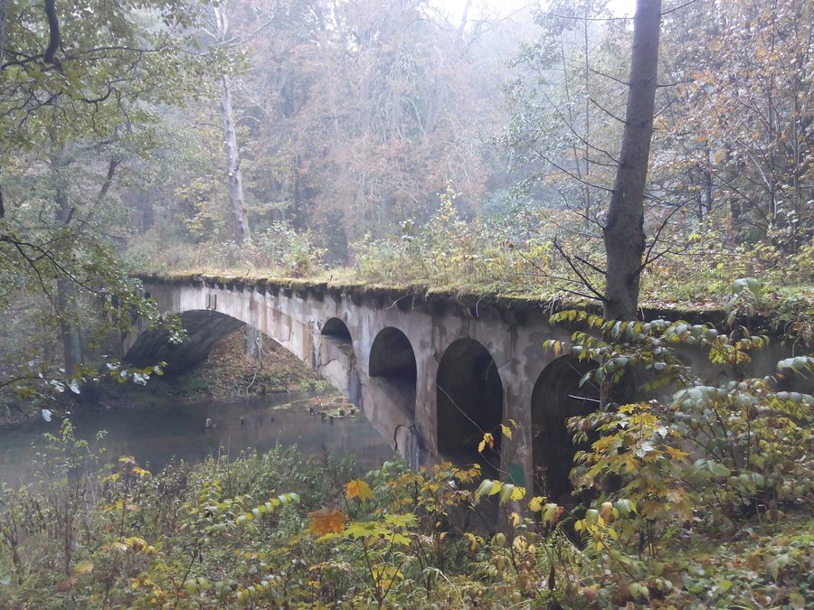 Brücke in der Rominten-Heide