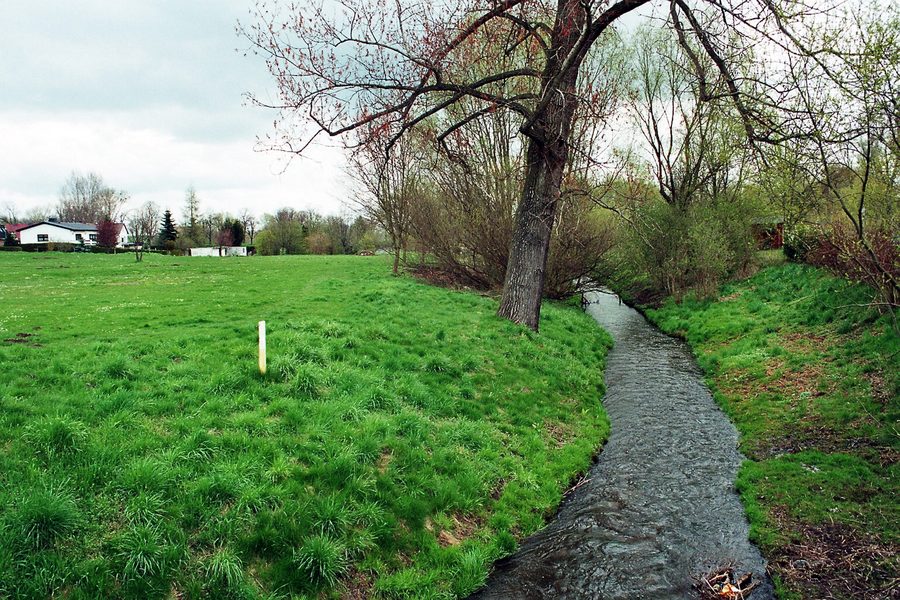 Die Sülze in Dodendorf im Sülzetal