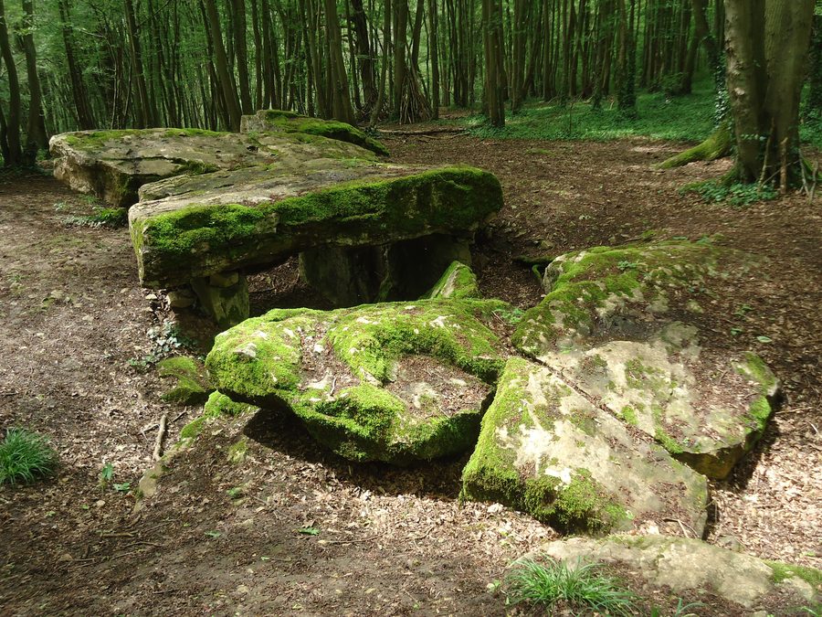 Allée couverte de Dampsmesnil dans l'Eure