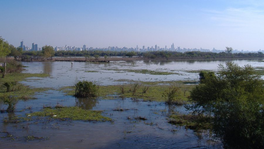 Paraná-Delta bei Rosario