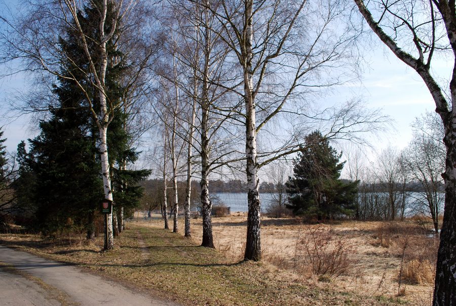 Teichlandschaft am Ponědražský rybník bei Ponedraz