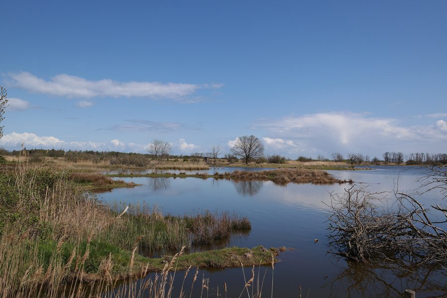 Salzwiesen und Noor im Naturschutzgebiet Geltinger Birk