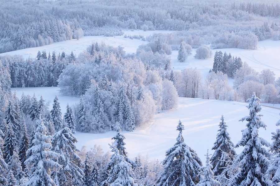Winterliche Haanja-Hochlandschaft, gesehen vom Aussichtsturm auf Suur Munamägi