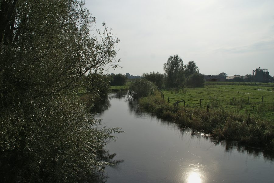 Die Treene an der Grenze zwischen Sollerup und Silberstedt