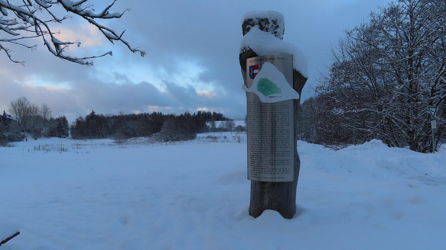 Höchenschwander Moorgebiet in der Landschaft rund um Höchenschwand