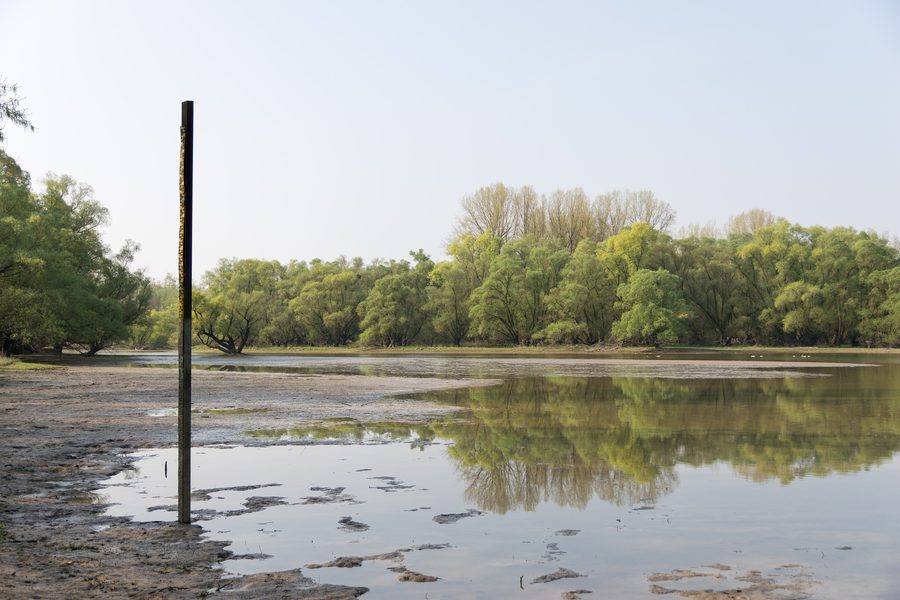 Westseite des Wintersdorfer Altrheins in der Rastatter Rheinaue