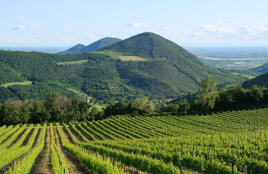 Blick über die Euganeischen Hügel mit Monte Rusta, Monte Cero und Monte Castello