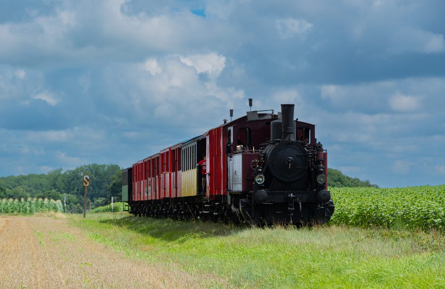 Train des Mouettes à la sortie de Saujon