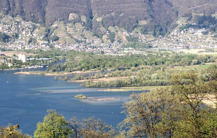Deltalandschaft der Bolle di Magadino, wo Ticino und Verzasca in den Lago Maggiore münden