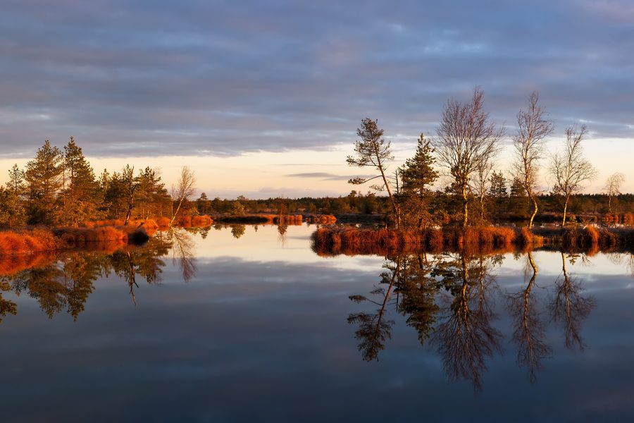 Morning landscape at Lake Kaselaug in Rabivere Nature Park, Rapla County, Estonia
