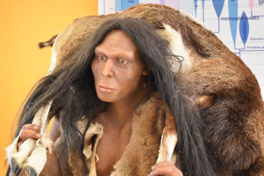 Schaufensterpuppe des Menschen von Tautavel