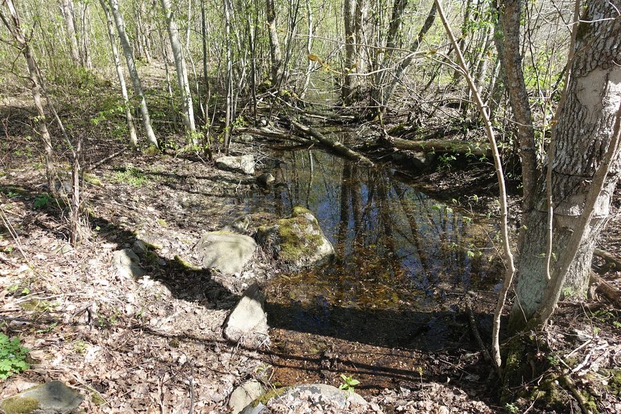 Der Fluss Vihterpalu bei Vihterpalu