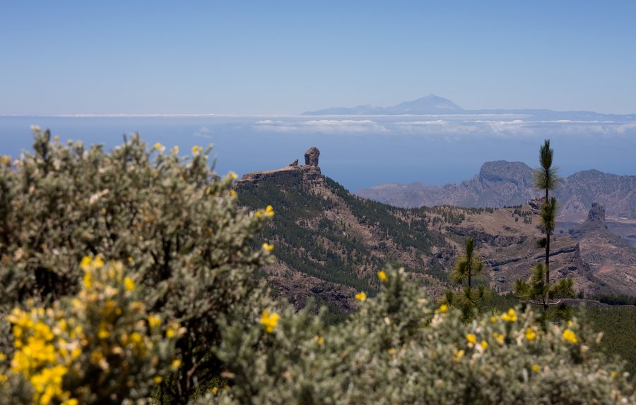 File:Panoramica.Mirador Pico de las Nieves.Gran Canaria (4696120231).jpg