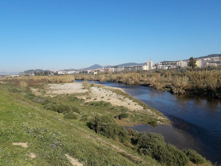 Der Llobregat zwischen Sant Vicenç dels Horts und Molins de Rei