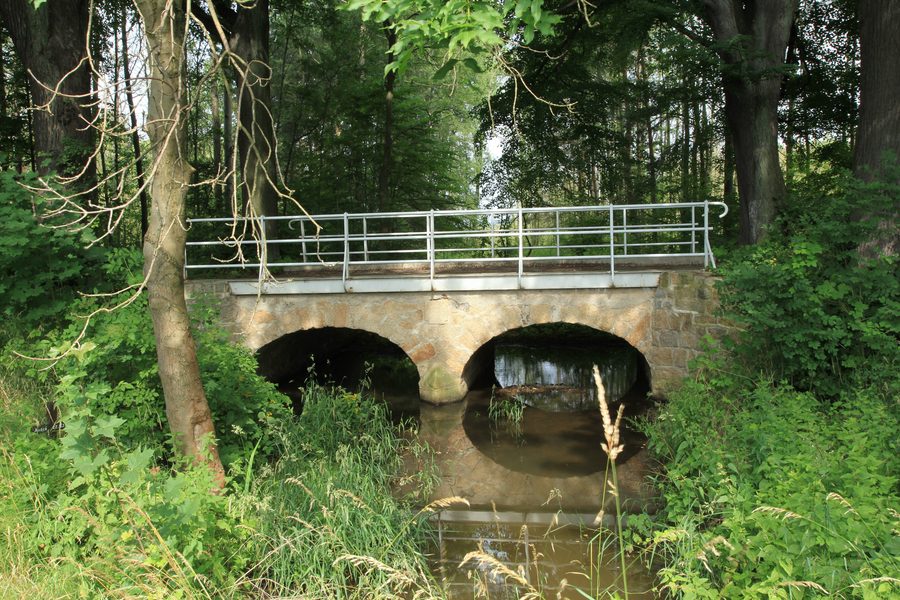 Schwarzer Schöps bei der Schäferei in Waldhufen