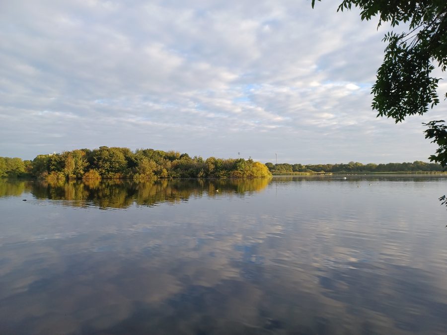 Seenlandschaft im Utterslev Mose in Kopenhagen