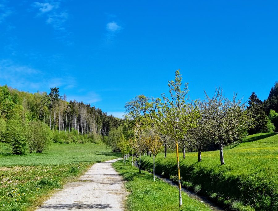 Burgenweg 13 im Langenbachtal bei Stockach