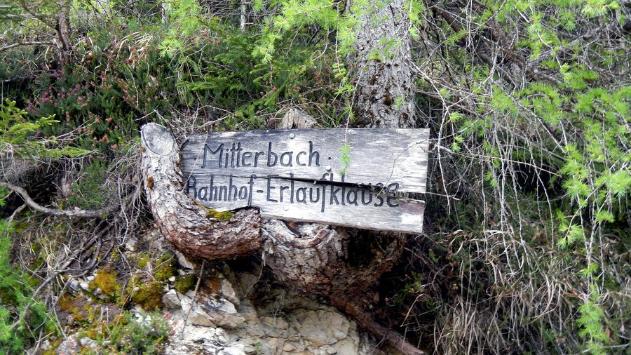 Wegweiser an einer Forststraße zur Erlaufklause in den Ötschergräben