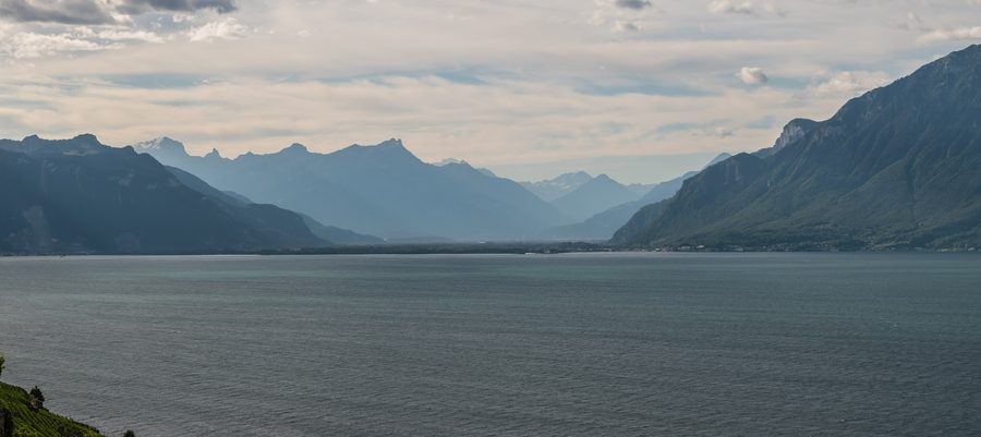 Terrassierte Weinberge des Lavaux mit Blick auf den Genfersee