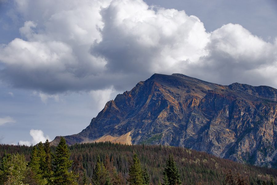 Blick vom Icefields Parkway auf den Mount Hardisty im Jasper-Nationalpark in Alberta.
