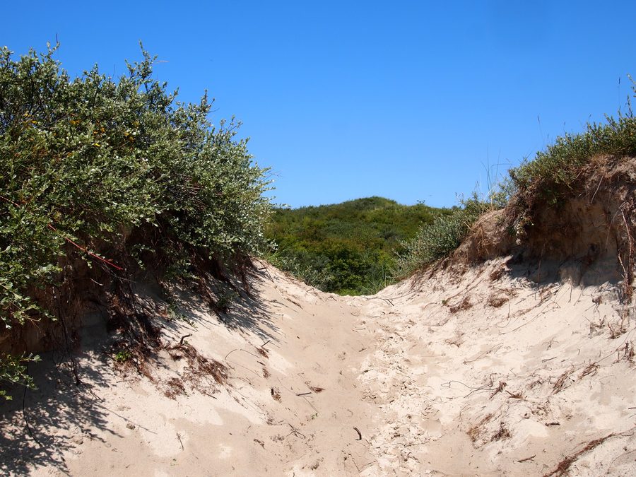 Dünenlandschaft im Nationalpark Schiermonnikoog