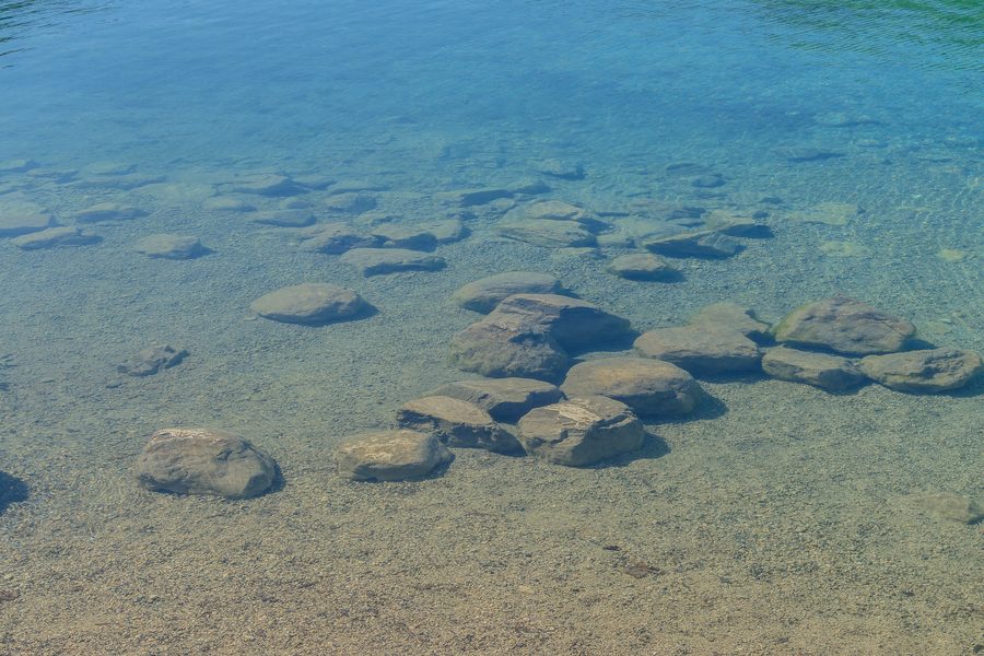 Flacher Uferbereich des Alpsees bei Hohenschwangau im Ostallgäu