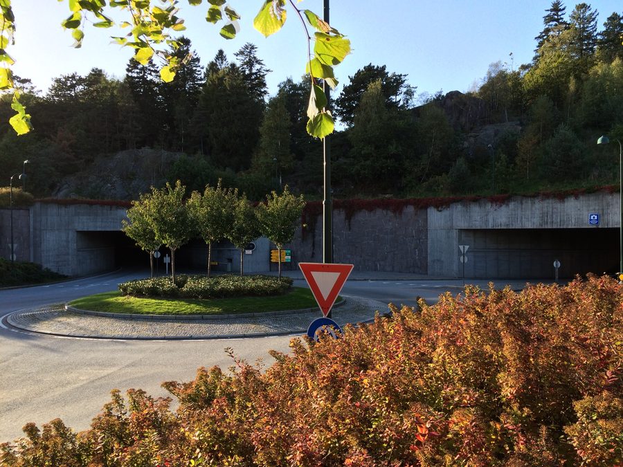 Baneheia forest in Kristiansand, Norway