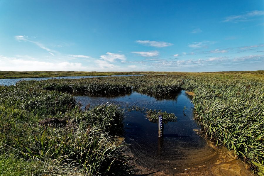 Dünenlandschaft im Naturschutzgebiet De Bollekamer auf Texel