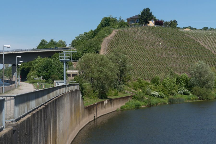 Vineyards near the Stauwehr in Schoden