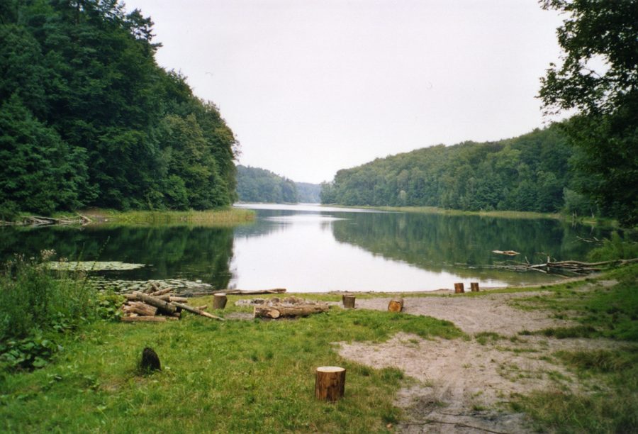 Gamensee im seenreichen Gamengrund mit bewaldetem Ufer