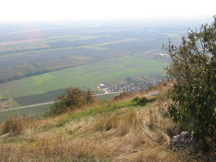 Panoramablick vom Szársomlyó in den Villány-Bergen