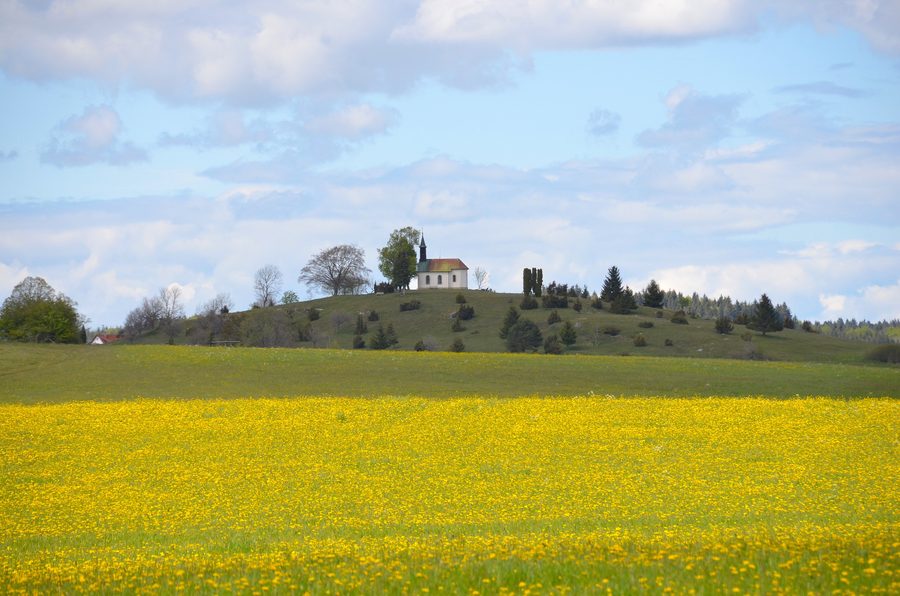 Wacholderheide mit der St.-Wolfgangs-Kapelle auf dem Scheibenbühl bei Obernheim