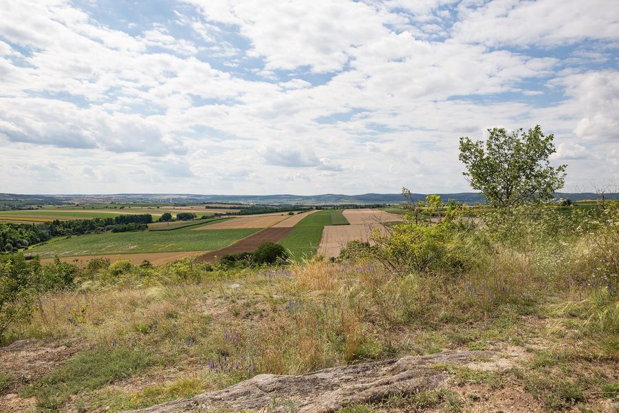 Panoramablick auf Pulkau vom Altenberg im Weinviertel