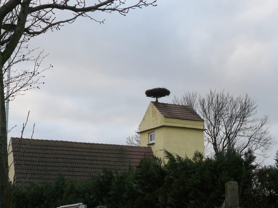 Storchenhorst in Polzow