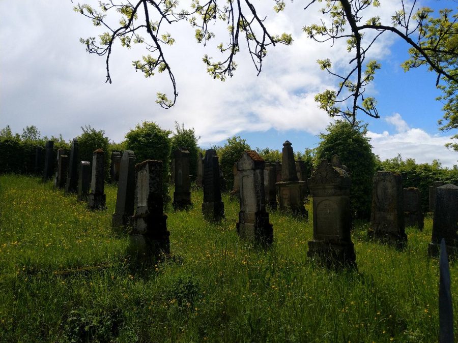 Jüdischer Landfriedhof in Berwangen im Kraichgau