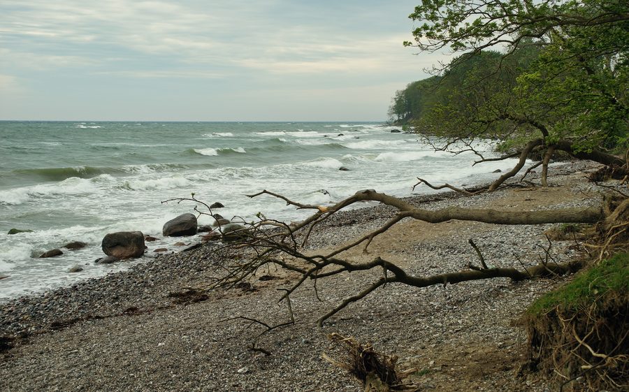 Coastal landscape at Katharinenhof on Fehmarn