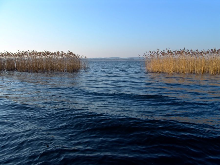 Landschaft bei Rothenmoor im Raum Basedow und Malchin
