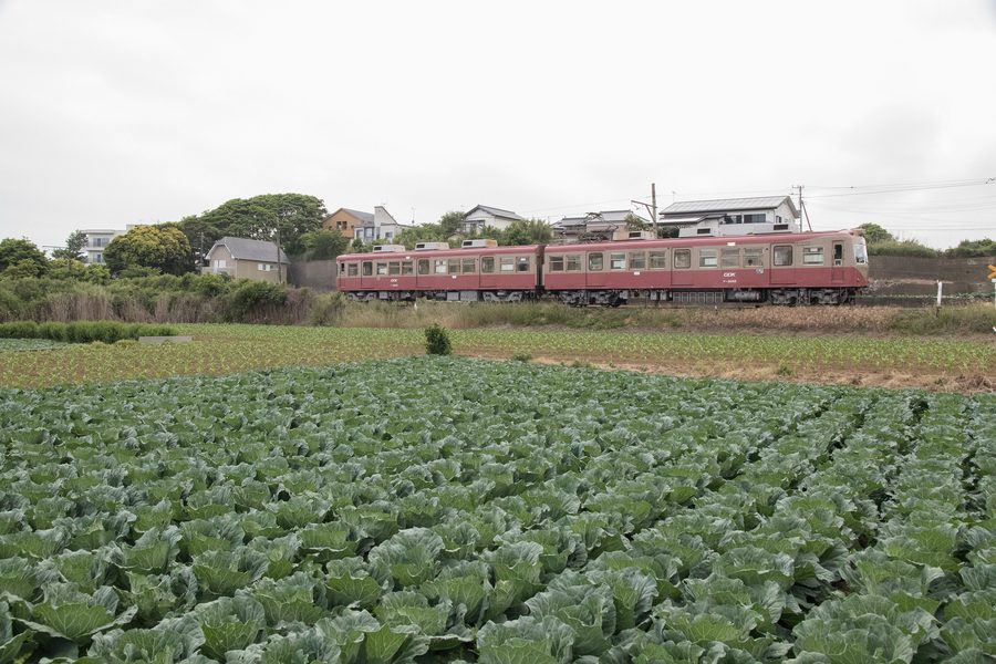 Zug der Chōshi Electric Railway in Chōshi