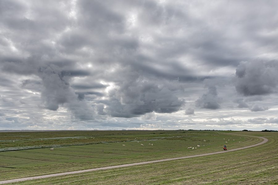 Radweg in Dagebüll in Nordfriesland