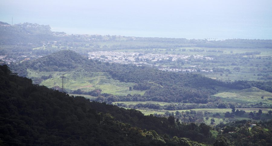 Luftaufnahme von Naguabo in Puerto Rico aus dem El-Yunque-Nationalwald