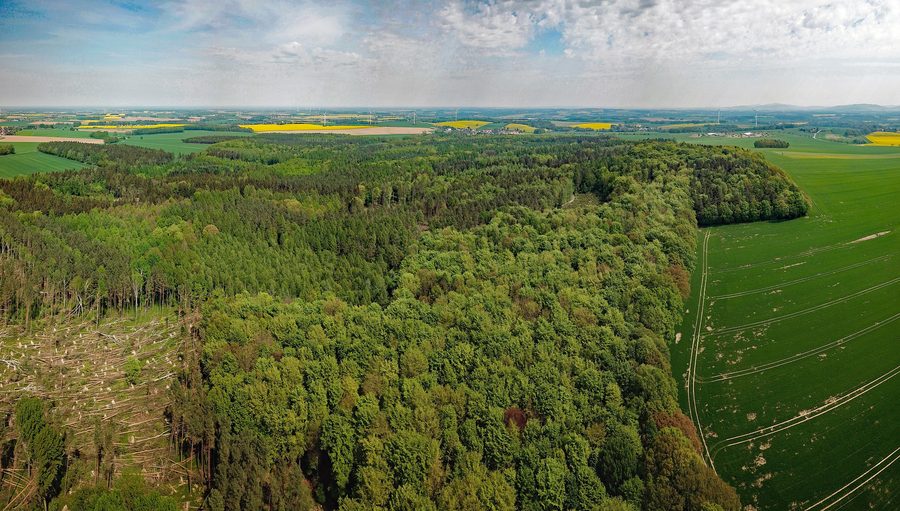 Luftaufnahme des Taucherwalds bei Burkau in Sachsen