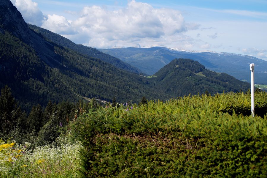 Blick auf den Dachstein