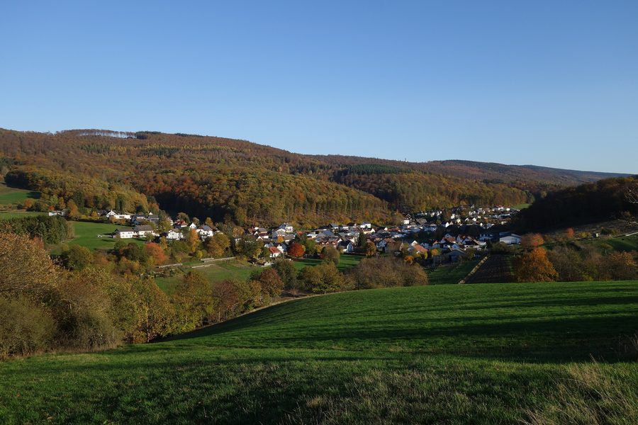 Wüstems von Westen mit dem Windhain im Hintergrund