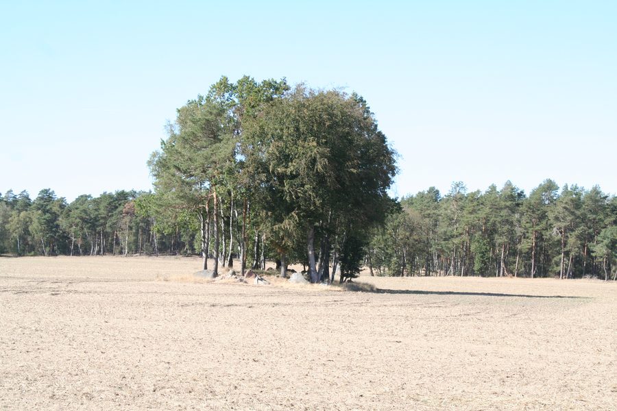 Großsteingrab Molmke
