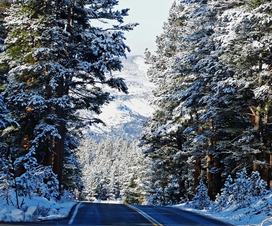 Verschneite Bergstraße auf der Zufahrt zum Tioga-Pass im Yosemite-Gebiet.