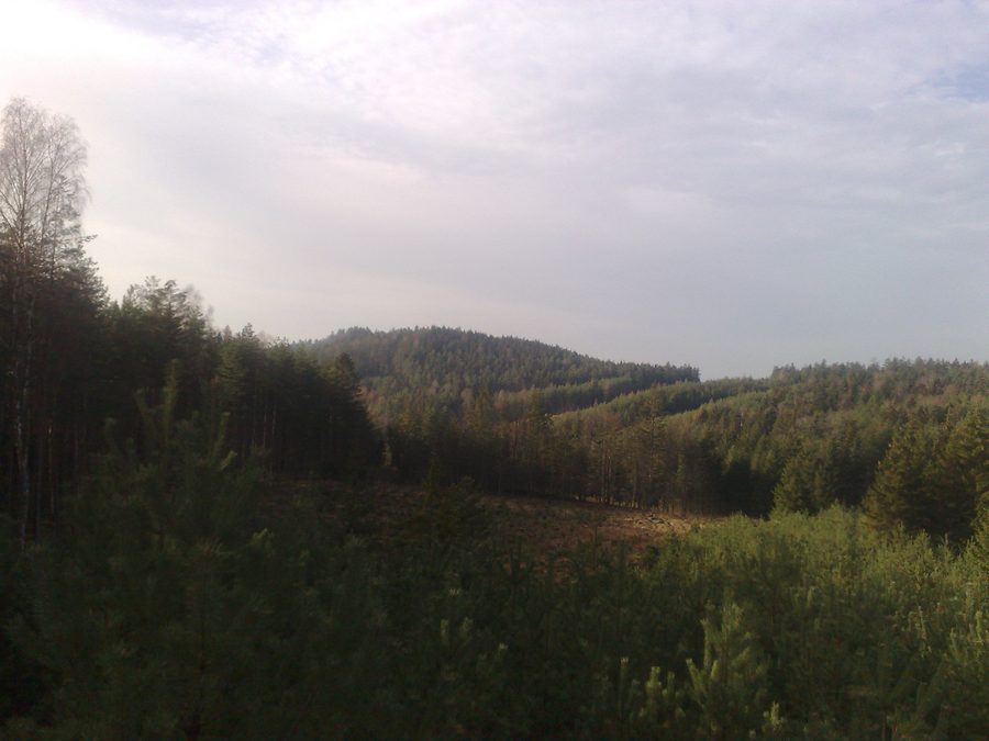Blick auf den Konesův vrch im Katastergebiet von Hůrky u Rokycan
