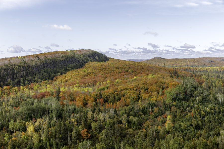 Herbstlaub am Leveaux Mountain bei Tofte in Minnesota
