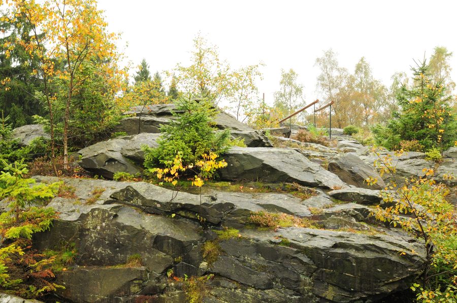 Quarzitklippe am Wendelstein bei Grünbach im Vogtland