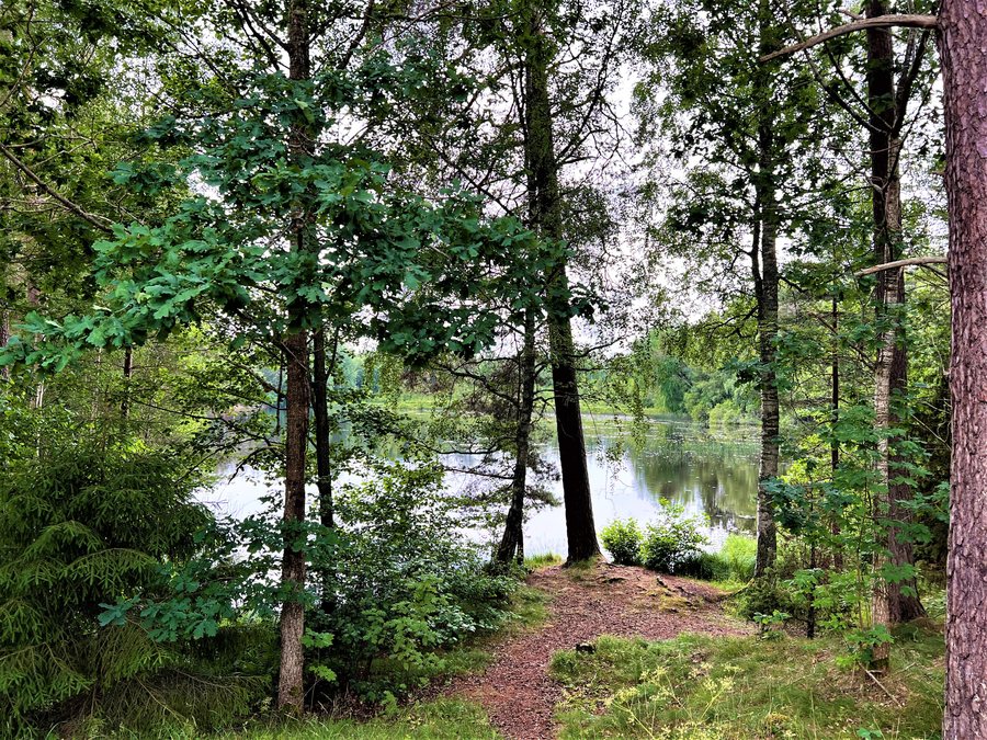 File:Lake Kvarndammen in Vetlanda Småland Sweden seen from northeast 01.jpg